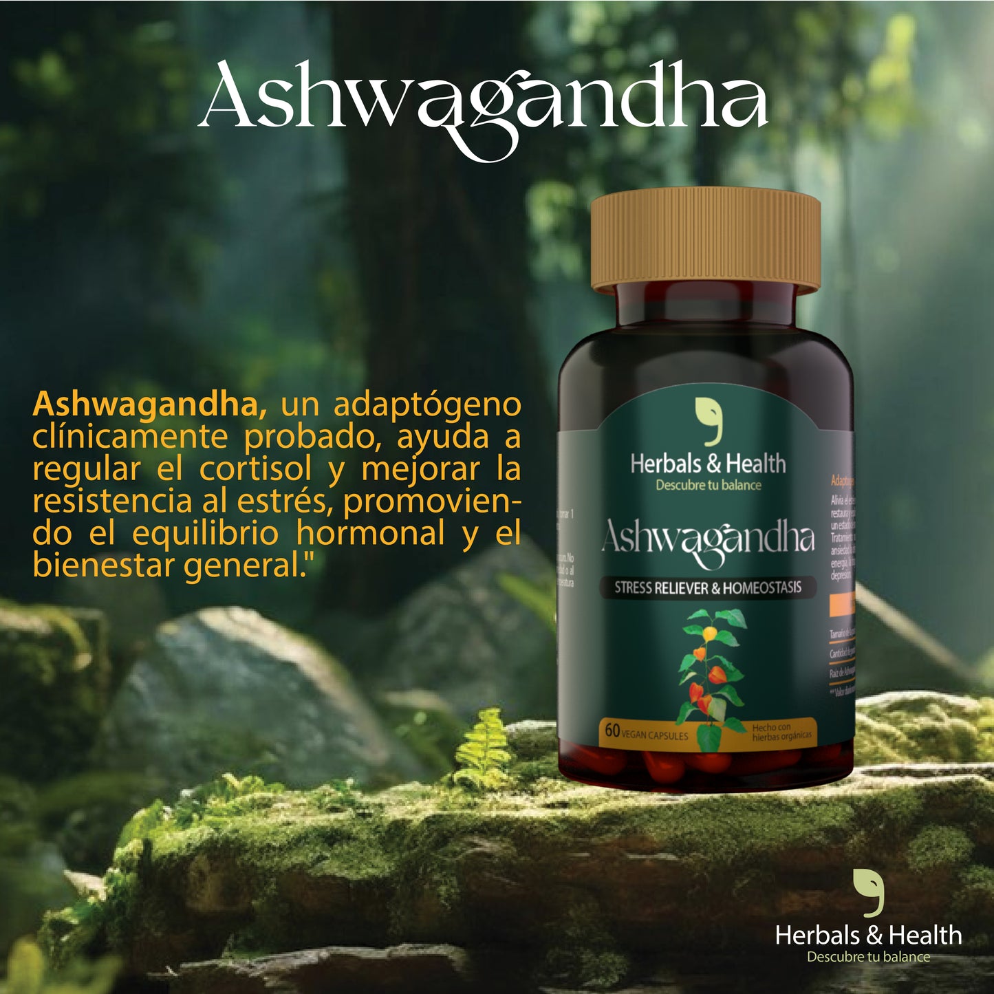 🌿 ASHWAGANDHA - EQUILIBRIO, RELAJACIÓN Y BIENESTAR NATURAL ✨